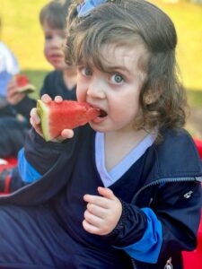 piquenique de frutas vermelhas